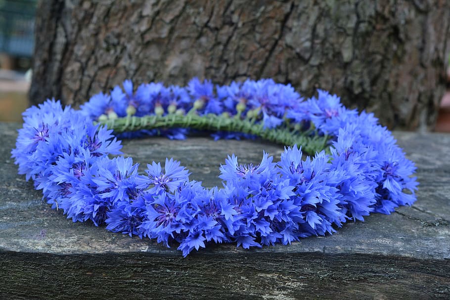 blue, floral, wreath, gray, bench, cornflower, cornflowers, bluebottle, fabricated, flowers wildflowers