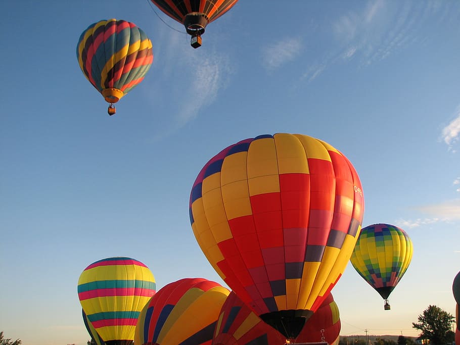 Globos de aire caliente, globos, aire, caliente, cielo, colorido, vuelo, viaje, mosca, transporte