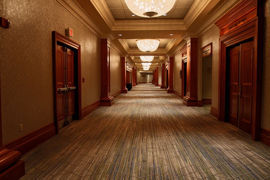hallway, brown, wooden, doors, white, door, hotel, corridor, conference, architecture