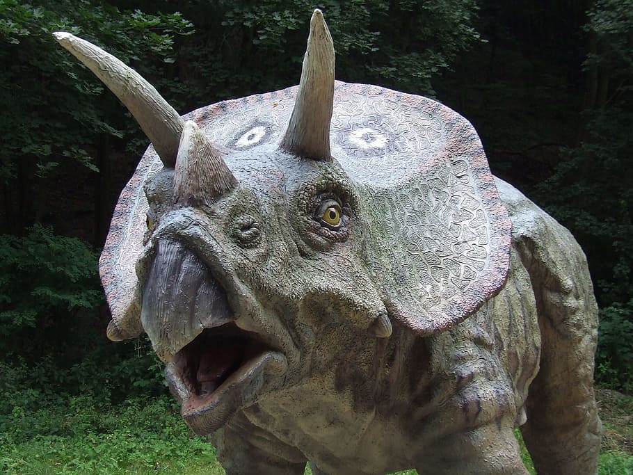brown, triceratops statue, trees, Dinosaur, Park, Prehistoric Times, dinosaur, park, animal, predator, herbivore