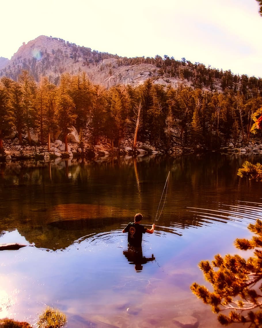fly fishing, man, leisure, recreation, landscape, mountains, fall, autumn, forest, trees