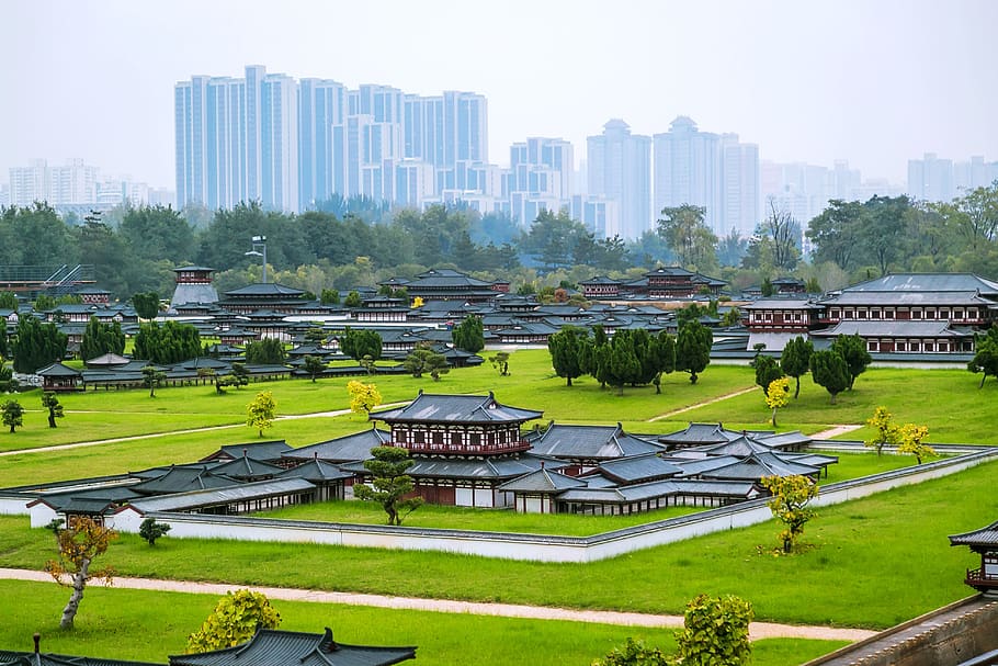daming palace, china, heritage park, tang palace, architecture, building exterior, built structure, building, city, plant