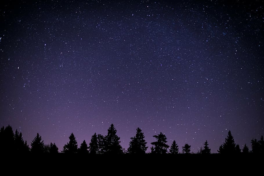 silhueta, árvores, período noturno, estrelado, noite, estrelas, galáxia, espaço, universo, escuro