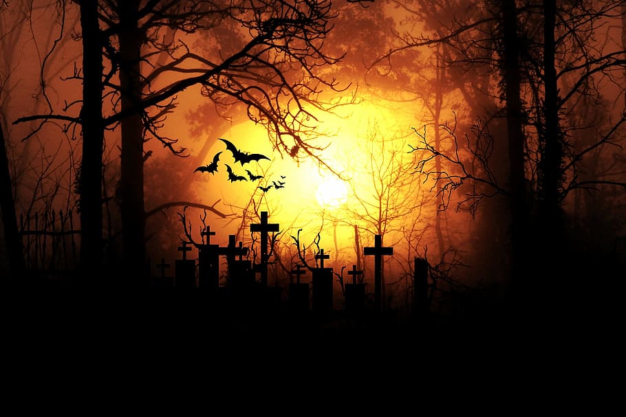 cross, tombstones, trees, bats silhouettes, golden, hour, moonlight, night, horror, full moon