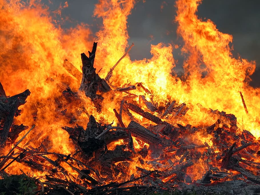 fuego, llama, fuego de pascua, quema, calor - temperatura, fuego - fenómeno natural, color naranja, naturaleza, brillante, árbol