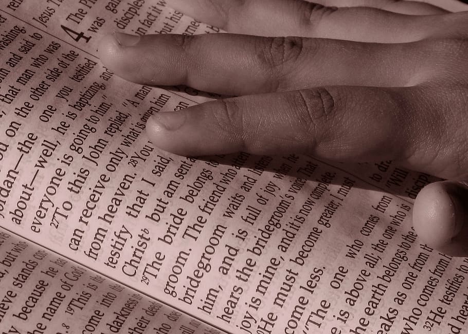 pessoa, mão, tocando, livro, bíblia, religião, cristianismo, evangelho, dicionário, única palavra
