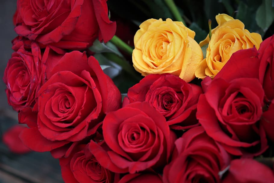 Significado de rosas amarillas y rojas juntas