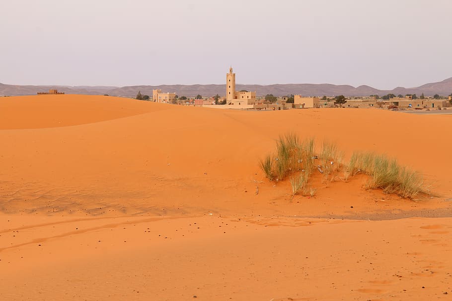 sandstorm, sahara, dry, desert, africa, hot, adventure, dunes, sand, built structure