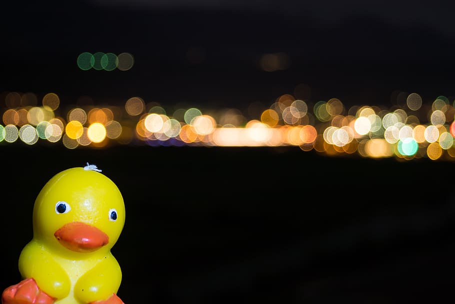 quitscheente, duck, rubber duck, toys, colorful, bokeh, game characters, children, background, lights