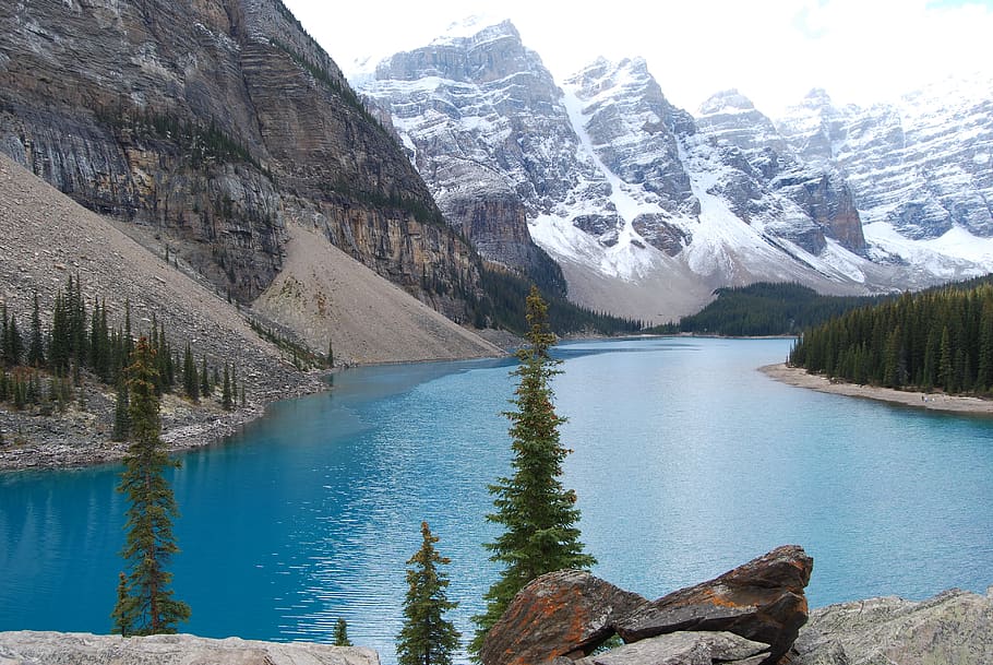 banff, rockies, canadá, lago, nieve, árboles de hoja perenne, claro como el cristal, agua, pintorescos - naturaleza, montaña