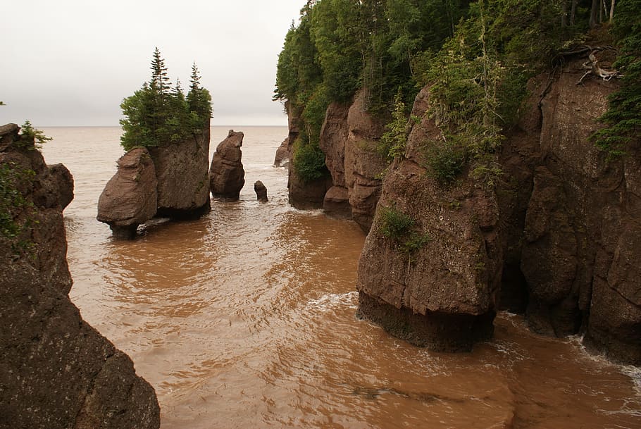 Hopewell Rocks, New Brunswick, Flowerpot, coast, attraction, tide, canada, rock - object, water, nature
