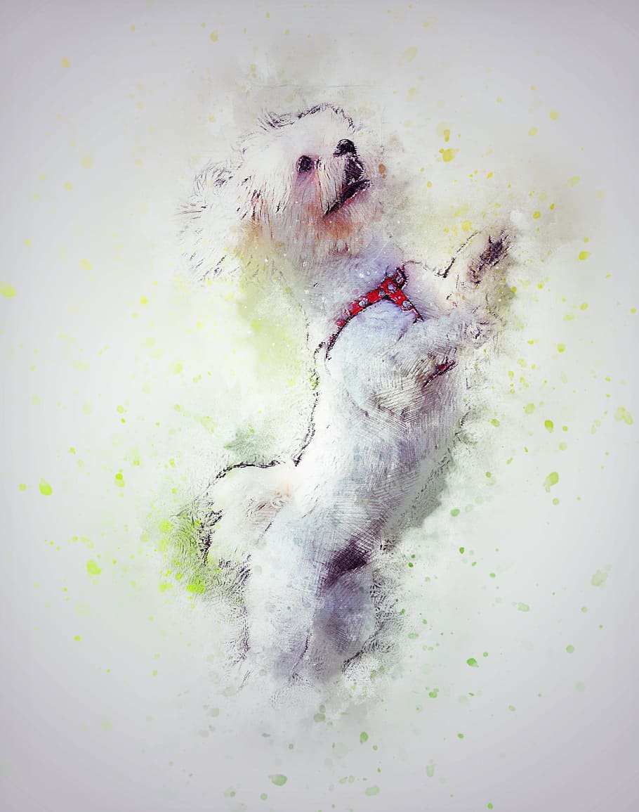 white dog painting, dog, pet, white, art, abstract, watercolor, vintage, artistic, design