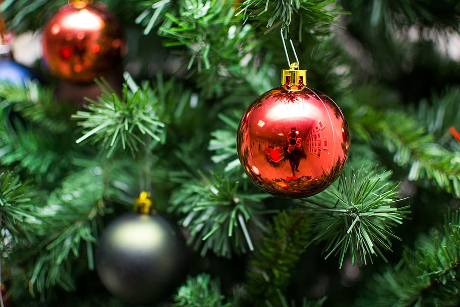 neon christmas tree, Neon, Christmas Tree, Lights, Decorations, christmas, photos, holidays, public domain, snow | Pxfuel