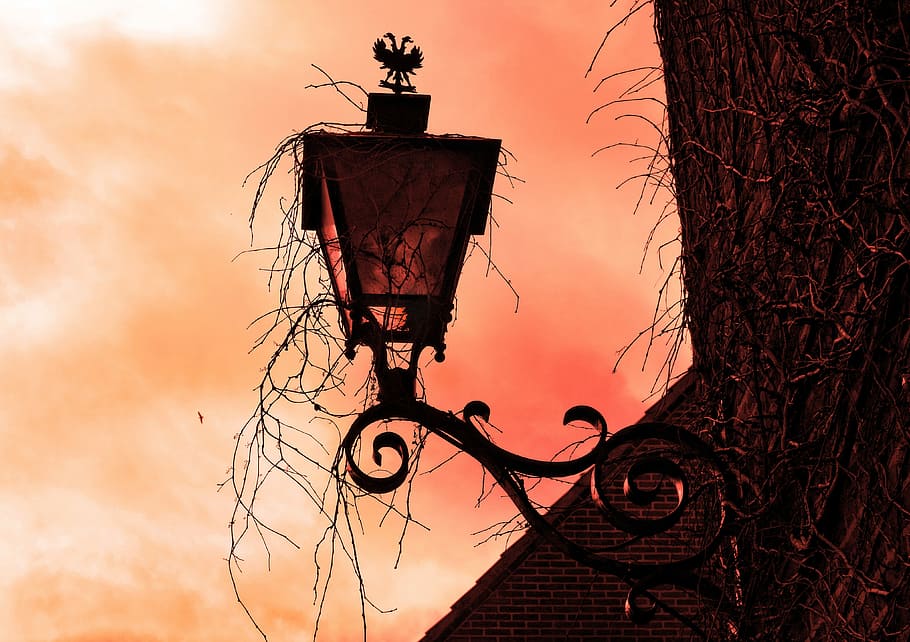 metal scones, covered, vines, facade lantern, wall lamp, vintage lantern, wall lighting, mount, wrought iron, exterior