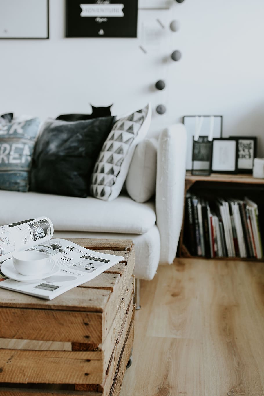 interior, sofa, magazines, modern, table, cat, pillows, home decor, bookcase, stylish