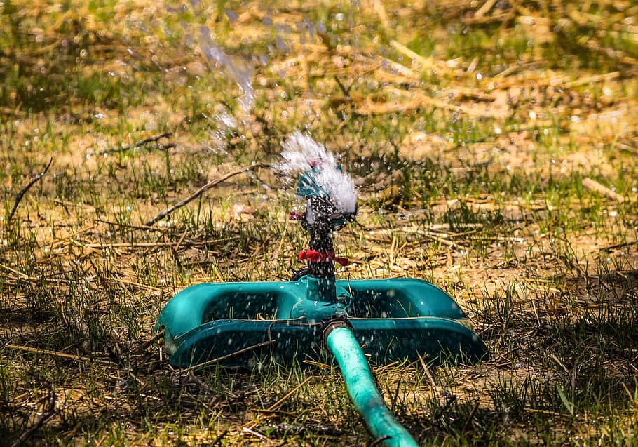 Sprinkler Rumput, Sprinkler Dampak, pemeliharaan rumput, halaman baru, sistem irigasi, penyiraman, rumput baru, bibit rumput, sprinkler, halaman rumput