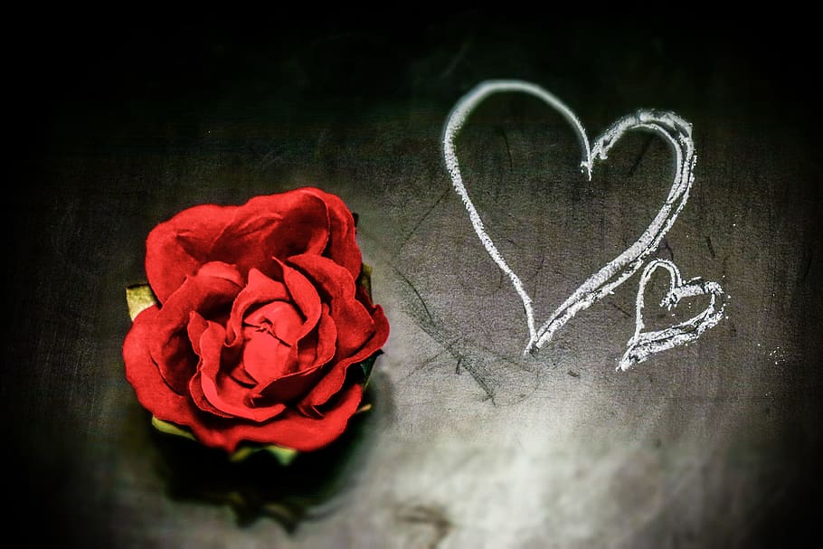 Valentine, Cinta, Jantung, Romantis, hati, aku mencintaimu, perasaan, merah, cintaku, pakta