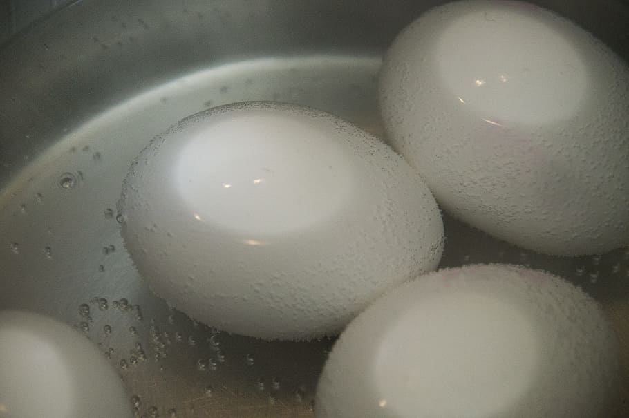 egg in pot, egg, brown eggs, pot, white, boil water, hot, green casual, hen's egg, nutrition