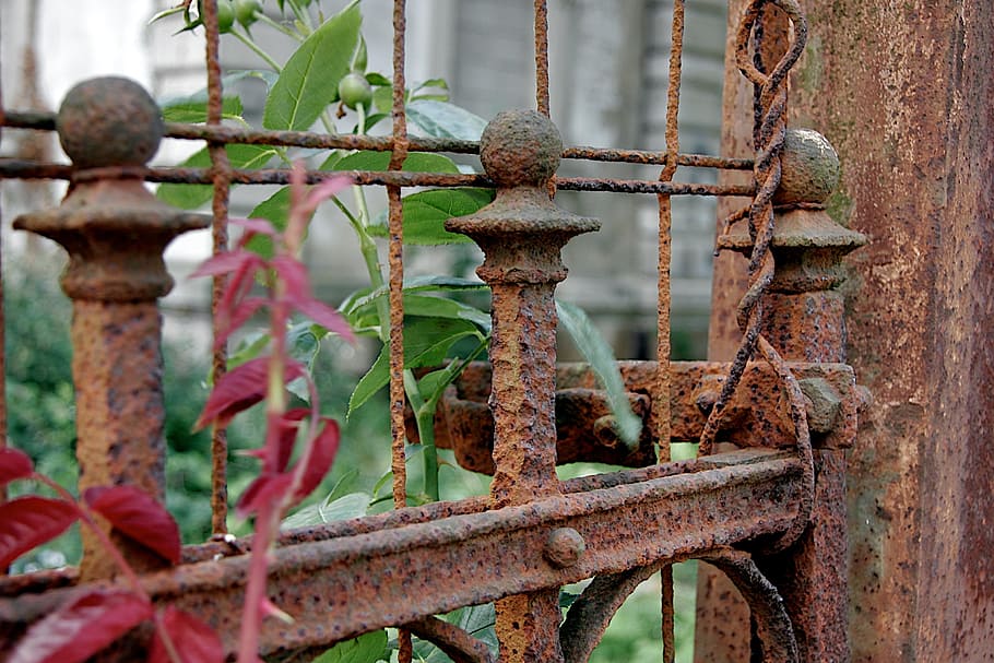 Fence, Stainless, Old, Broken, Bleak, patina, iron, barrier, rusted, rusty