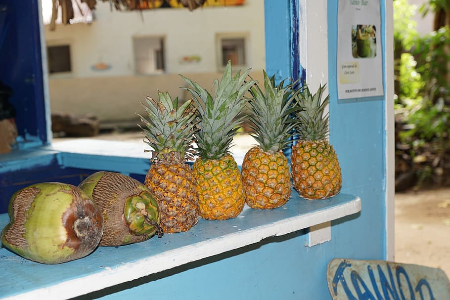 Pineapple, Island, Caribbean, levantado, eat, food and drink, fruit, healthy eating, freshness, food