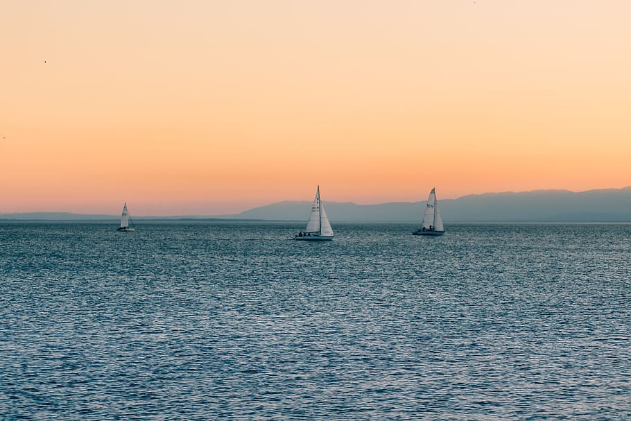 sail, boats sunset, Sea, Sail Boats, Sunset, boats, travel, sailboat, sailing, nautical Vessel