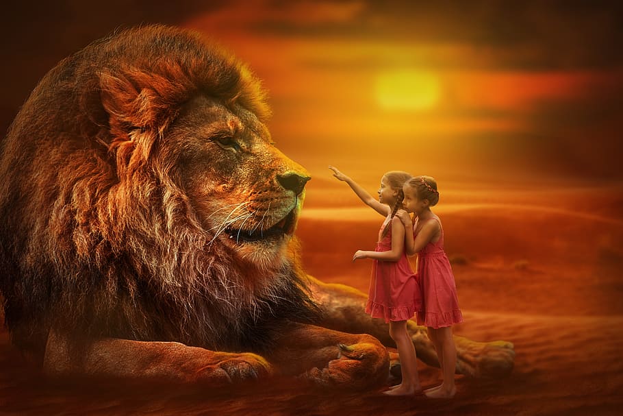 two, girls, front, lion, golden, hour time, people, twins, sunset, nature