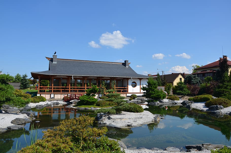 japanese garden, pagoda, tea pavilion, tearoom, lake, view, nature, landscape, tree, shrubs