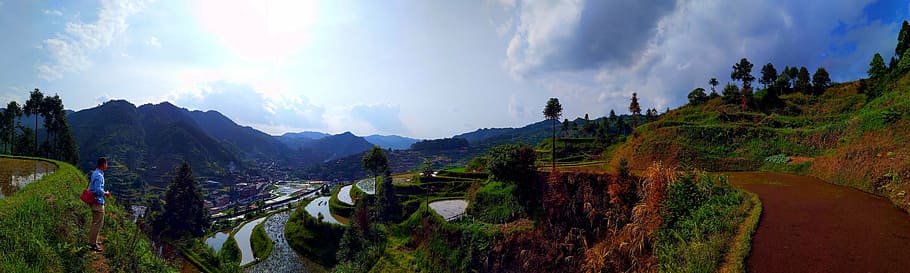 rice terraces, guizhou, terrace, the scenery, nature, mountain, asia, agriculture, rural Scene, hill