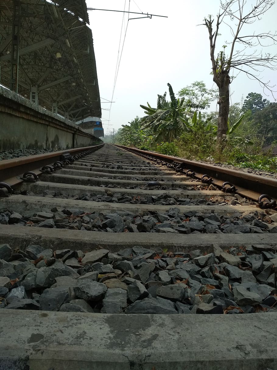 way of train, railway, to be continued, rail transportation, railroad track, track, transportation, tree, the way forward, plant