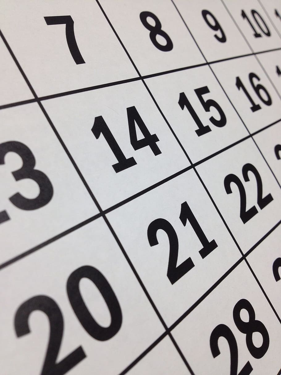 calendar paper, calendar, date, time, month, week, planning, paper