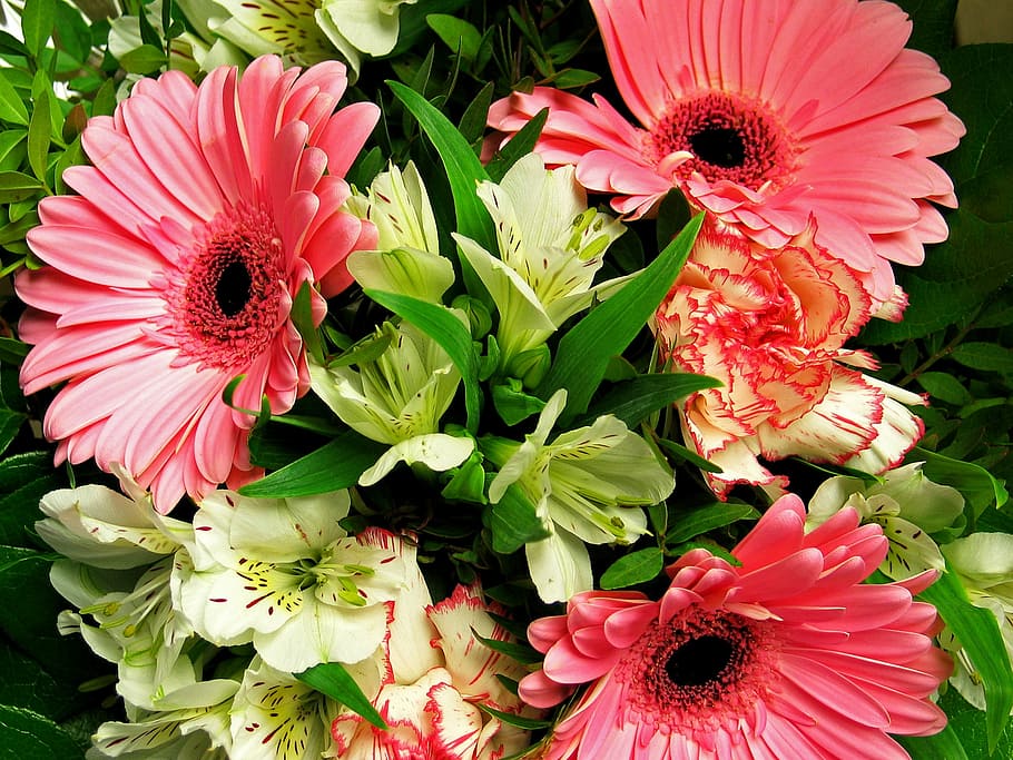 closeup, foto, pink, bunga, karangan bunga, mawar, vas, karangan bunga mawar, romansa, strauss