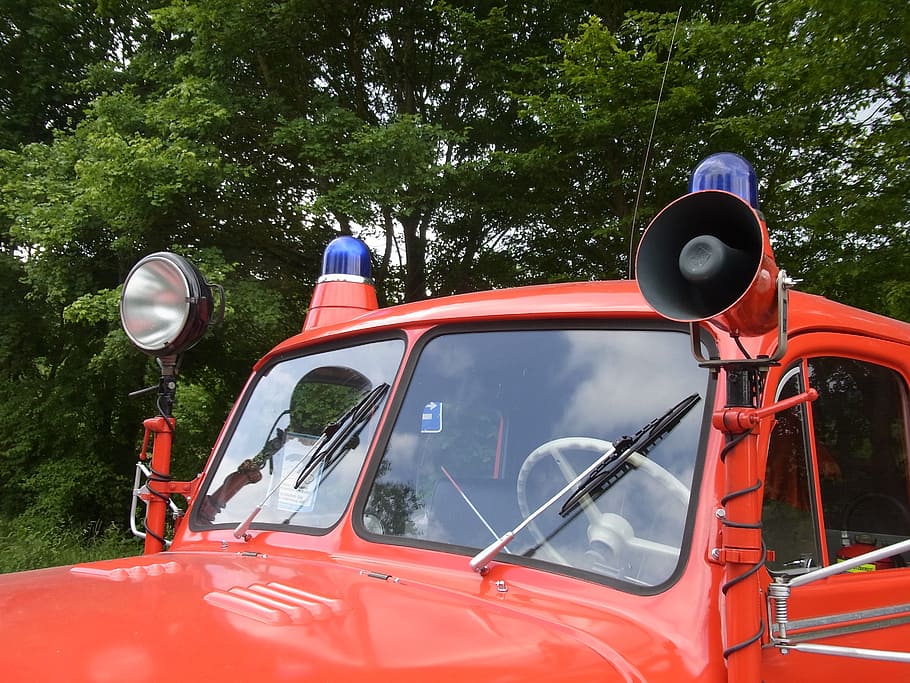 automático, veterano, fuego, rojo, bocina, señal, luz azul, foco, camión de bomberos, árbol