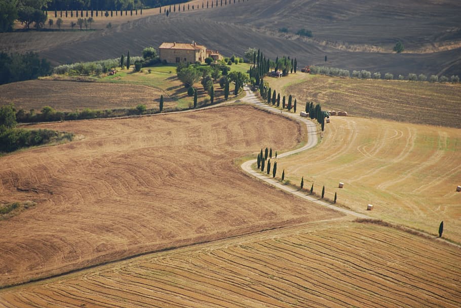 aerial, view, fields, Val D'Orcia, Landscape, Cottage, Trail, hay, cypress trees, olive trees