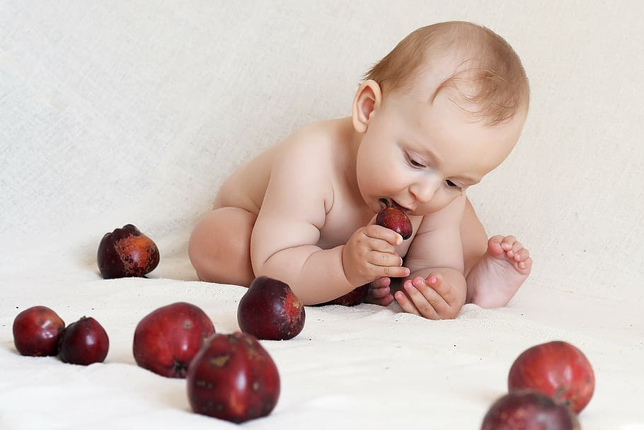 bebê, comer, maduro, ilustração de maçã, criança, criança pequena, infância, crianças, pessoas, emoções