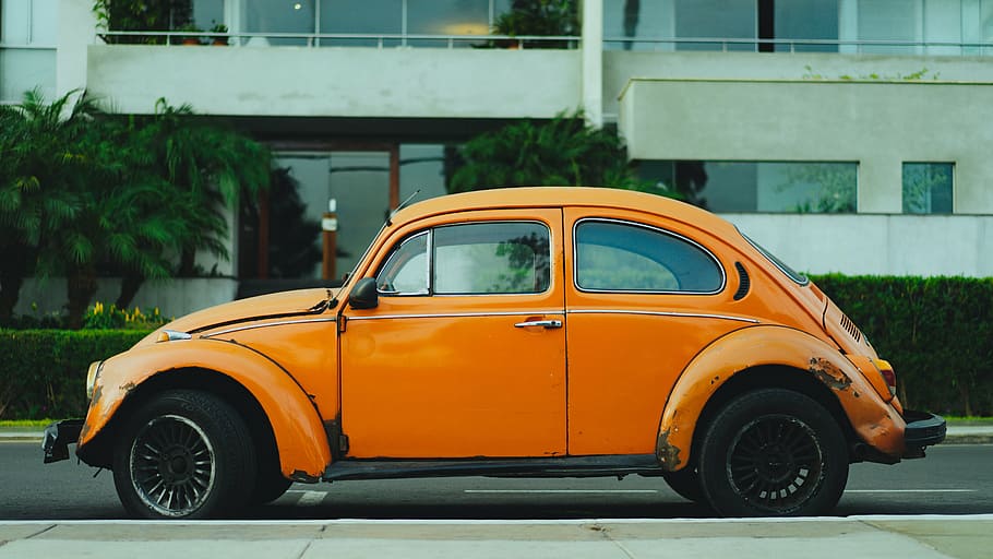 orange, volkswagen beetle coupe, parked, roadside, daytime, yellow, car, auto, vehicle, travel
