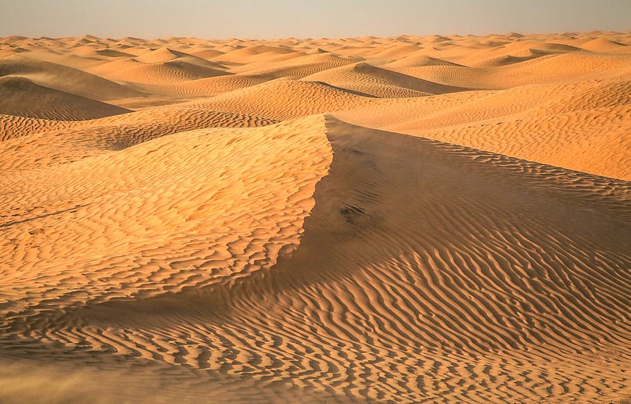 desert sand, daytime, Desert, Tunisia, Sahara, sand, sand dune, landscape, arid climate, outdoors