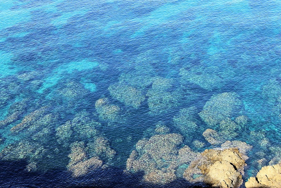 corsicano, mar, água, azul, férias, verão, transparência, vista de alto ângulo, ninguém, beleza na natureza