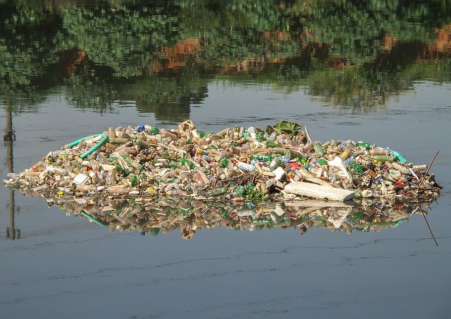 sampah, pinus sungai, puing-puing, polusi, botol pet, selokan, Sao Paulo, air, tidak ada orang, alam