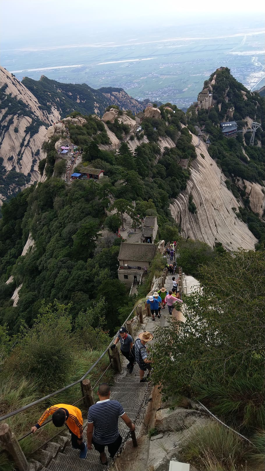 pinus armandii, black dragon ridge, china, group of people, real people, mountain, men, crowd, lifestyles, nature