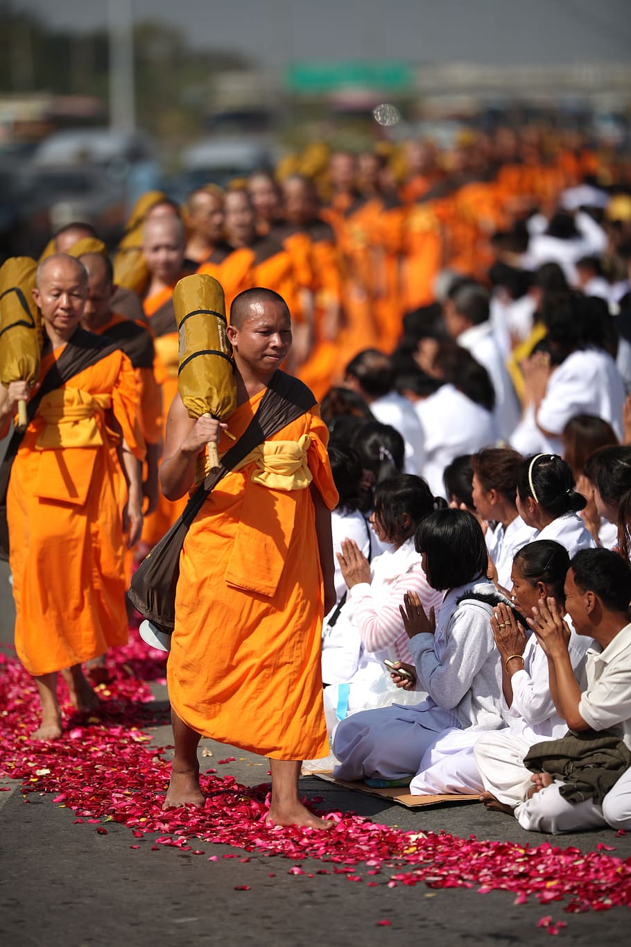 Budismo, monges, vestes, laranja, budistas, andar, tailandês, budista, wat, phra dhammakaya