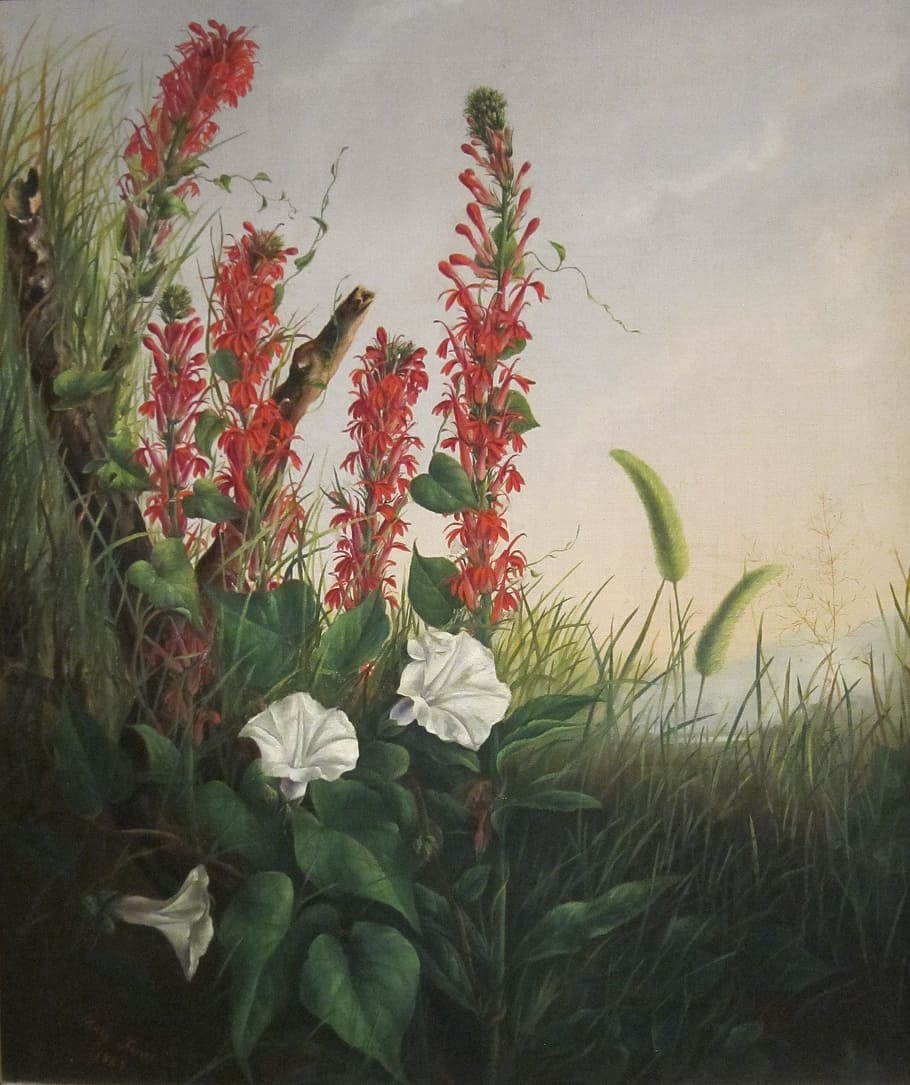 red, cardinal, flowers, white, moon flowers painting, mary pierce, art, painting, oil on canvas, artistic