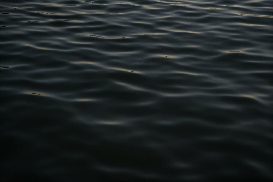 corpo, calma, água, foto, oceano, mar, preto e branco, planos de fundo, ondulado, quadro completo