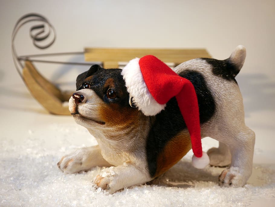 茶色, 黒, セラミック, 犬の置物, サンタ帽子, クリスマス, 犬, スライド, クリスマスの時期, クリスマス犬