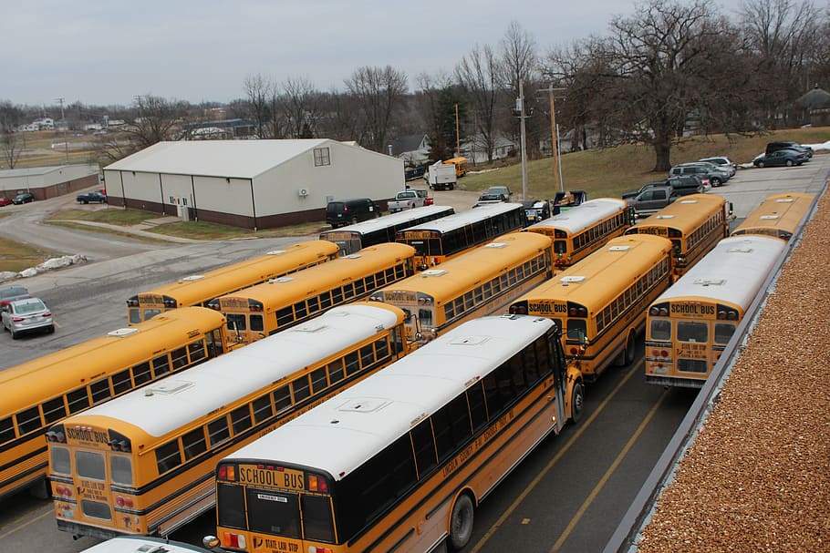 school, bus, school bus, education, transportation, yellow, transport, safety, driver, mode of transportation