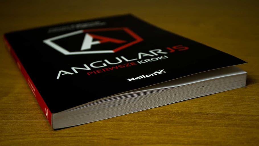 Book, It, Science, Angular Js, book, text, communication, indoors, close-up, day, western script