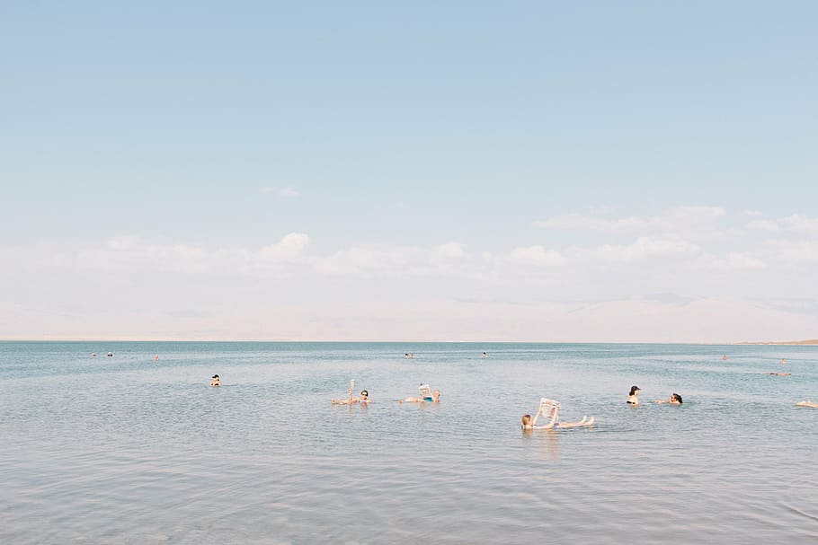 group, person, body, water, people, swimming, beach, nature, ocean, sea