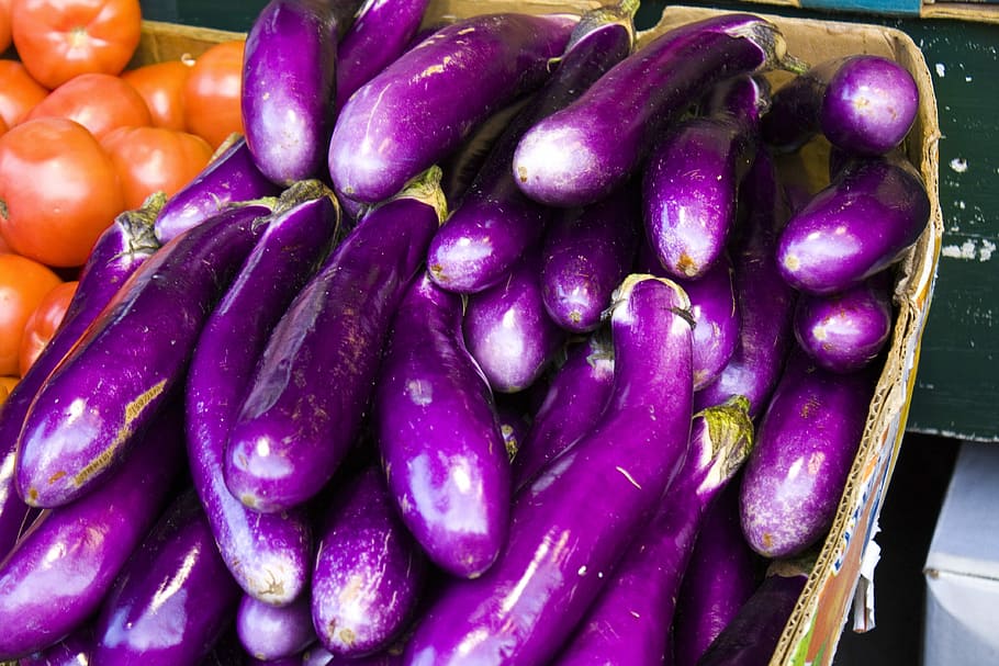 Eggplant, Vegetable, Food, Fresh, organic, colourful, purple, freshness, market, fruit