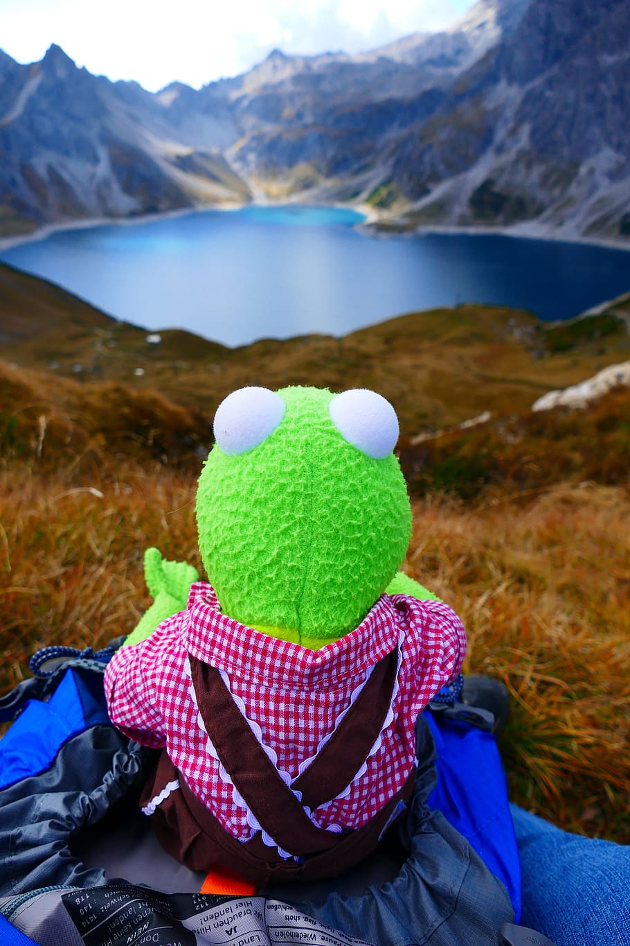kermit, frog, plush, toy, sitting, blue, textile, reservoir, dam, lüner lake