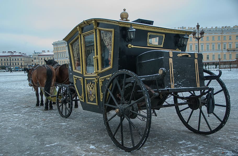 black, brown, carriage, daytime, russia, saint-petersburg, palace square, coach, hitch, working animal