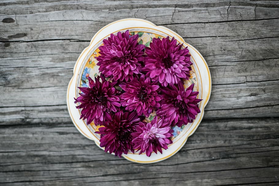 purple, petaled flowers, white, tray, wood, table, plate, pink, flower, bloom